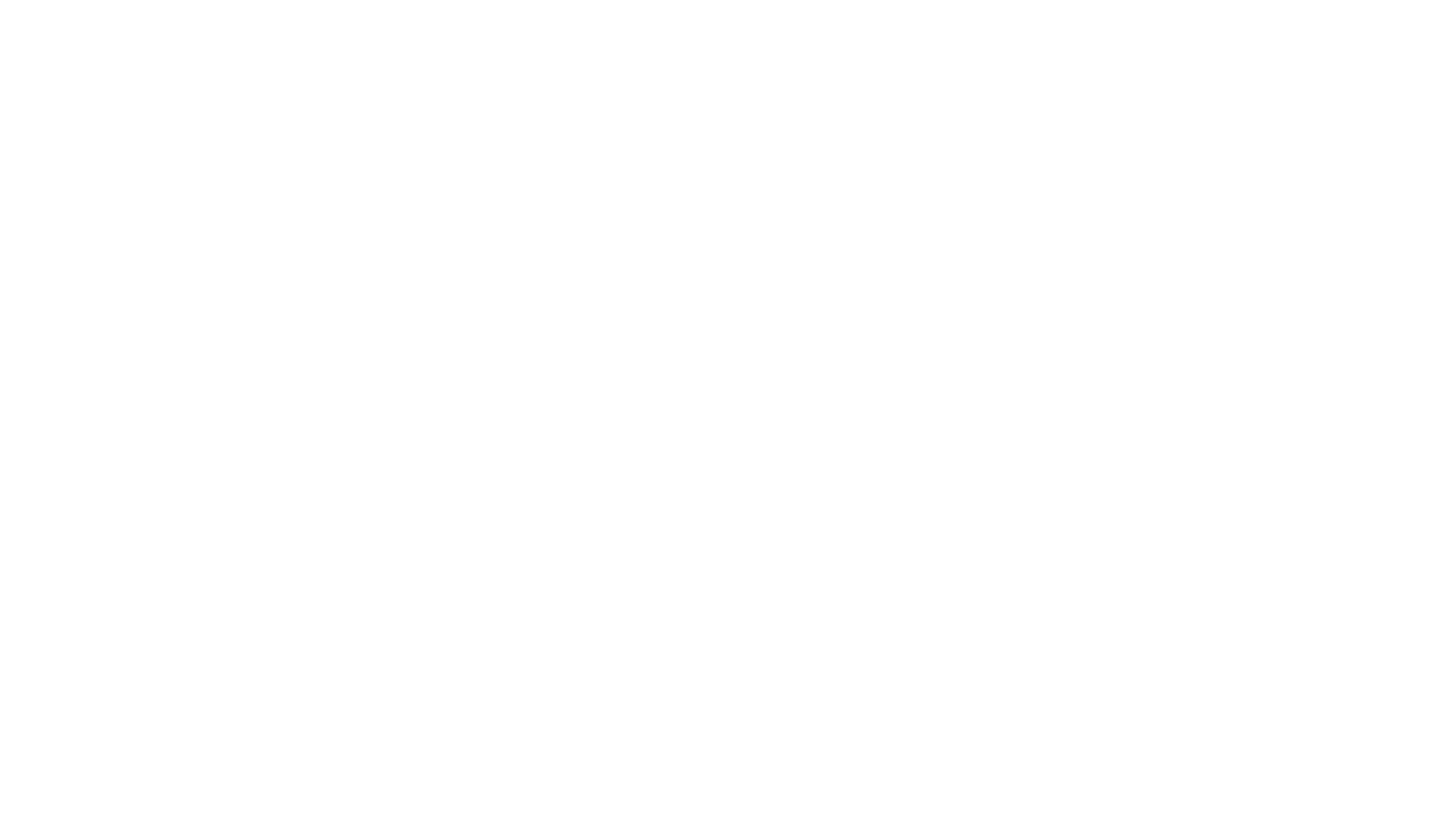 MAG